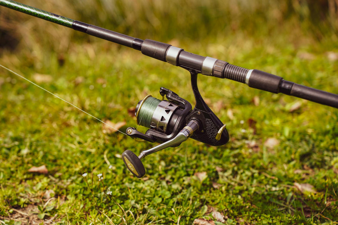 Choisir son moulinet : spinning ou baitcasting