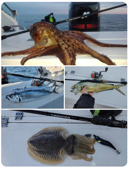 Canne PURELURE SHARPEN Travel — soft lure, anneaux Fuji
