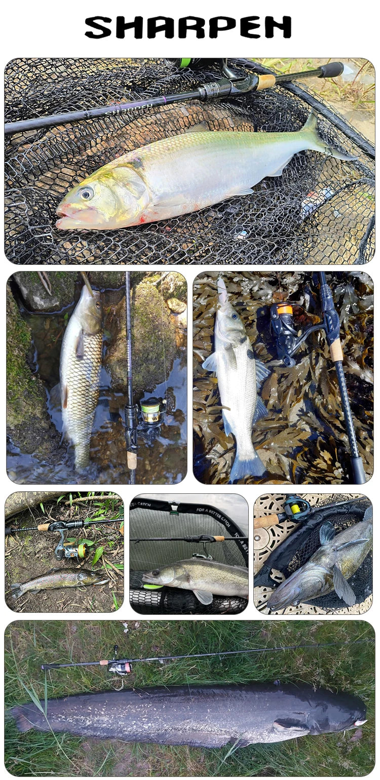 Canne PURELURE SHARPEN Travel — soft lure, anneaux Fuji